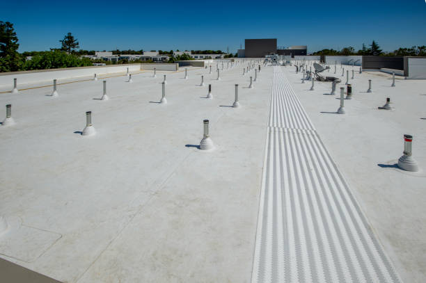 Best Wood Shake Roofing  in Pharr, TX